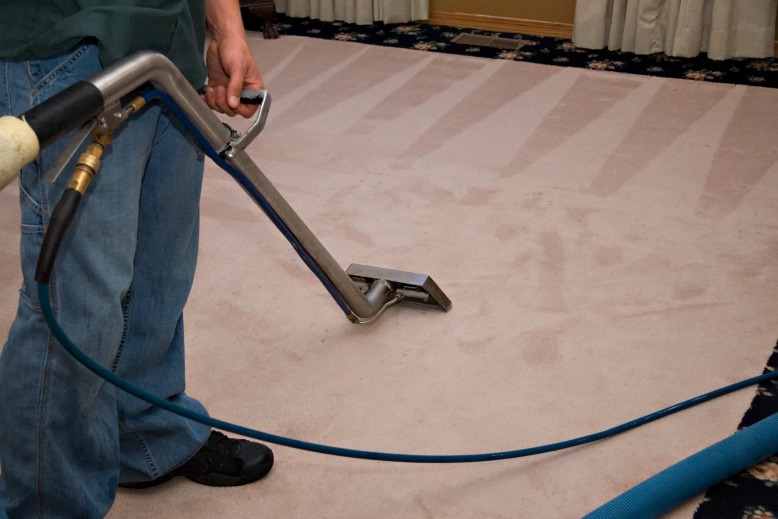 Comprehensive Guide to Carpet Cleaning in Boynton Beach